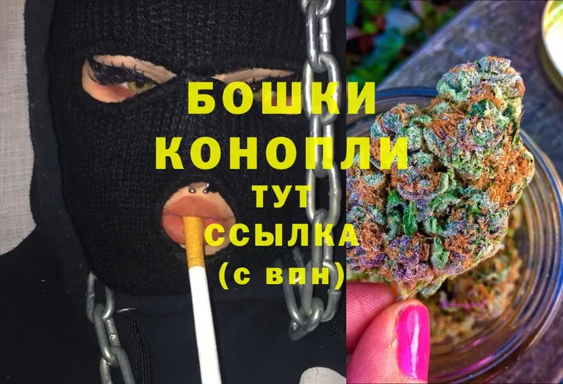 наркота  Балашов  Каннабис THC 21% 